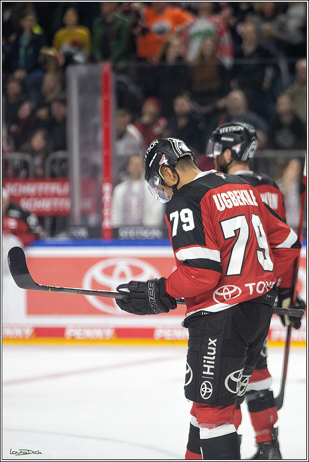 PENNY DEL;  Koelner Haie - Krefeld Pinguins; Koeln, 31.10.2021